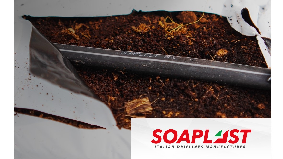 soaplast|soaplast|soaplast|22|soaplast|soaplast